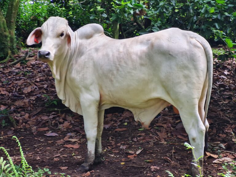 20231012 091940 768x576