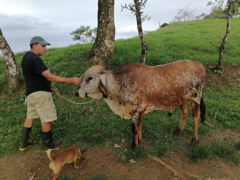 8a7e5f33 7057 4df4 b22a 17485a9c679e 768x576