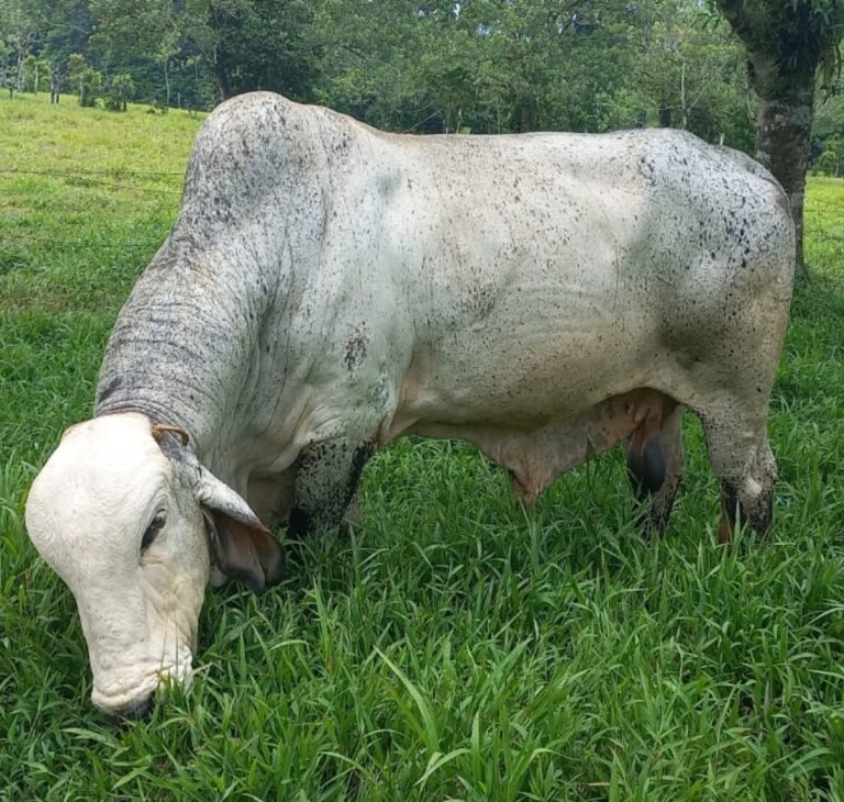 Screenshot 20240513 185204 WhatsApp 768x730