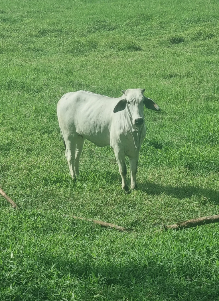 Sin titulo 3 768x1056